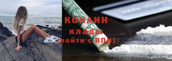 прущие грибы Аркадак
