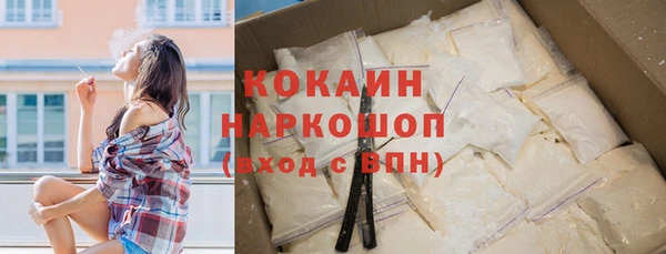 индика Арсеньев