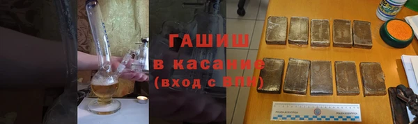индика Арсеньев