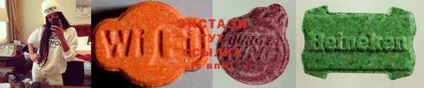 индика Арсеньев