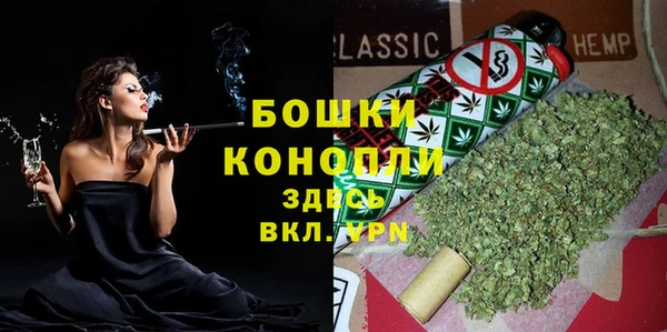 прущие грибы Аркадак