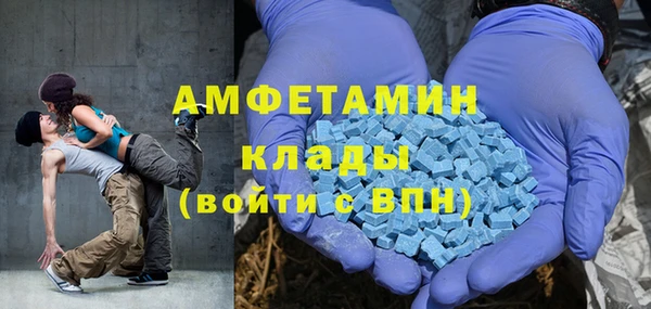 индика Арсеньев