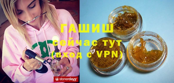 индика Арсеньев