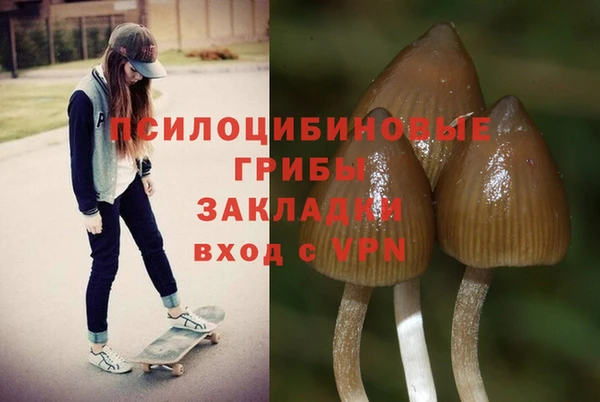 индика Арсеньев